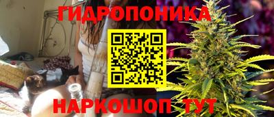трава Анжеро-Судженск